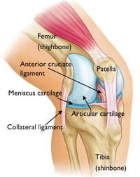 afi hip & knee replacement in noida